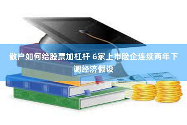 散户如何给股票加杠杆 6家上市险企连续两年下调经济假设
