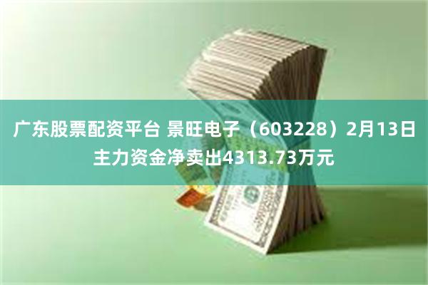 广东股票配资平台 景旺电子（603228）2月13日主力资金净卖出4313.73万元