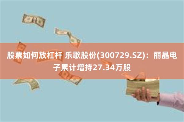 股票如何放杠杆 乐歌股份(300729.SZ)：丽晶电子累计增持27.34万股