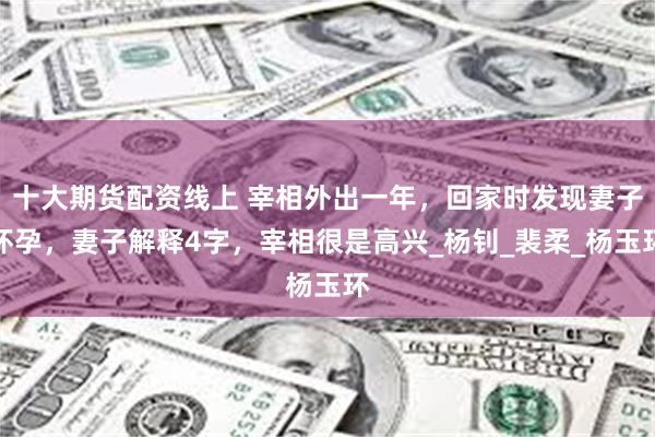 十大期货配资线上 宰相外出一年，回家时发现妻子怀孕，妻子解释4字，宰相很是高兴_杨钊_裴柔_杨玉环