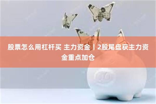 股票怎么用杠杆买 主力资金丨2股尾盘获主力资金重点加仓