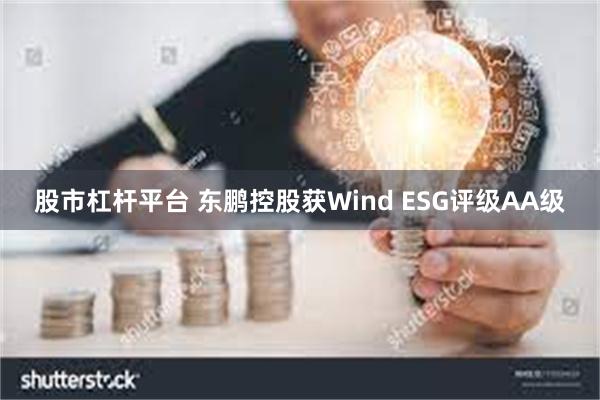 股市杠杆平台 东鹏控股获Wind ESG评级AA级